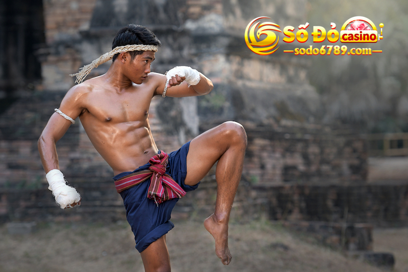 bo-mon-muay-thai
