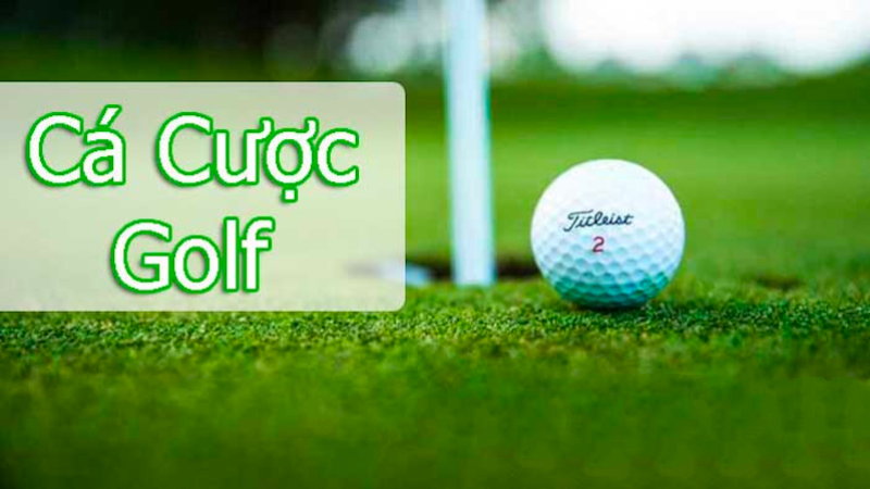 ca-cuoc-golf-2