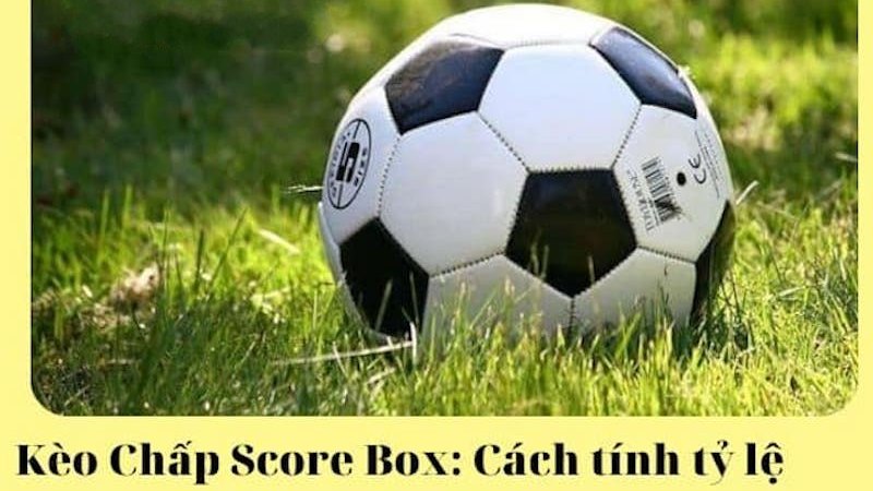 keo-chap-score-box-1
